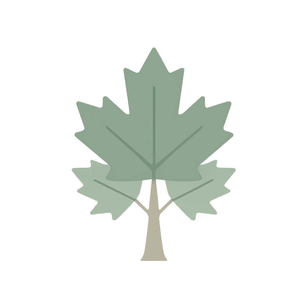 Trident maple