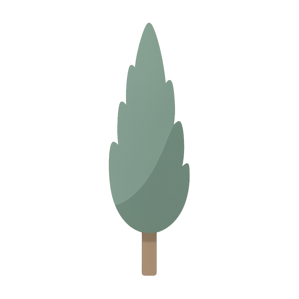 Italian cypress