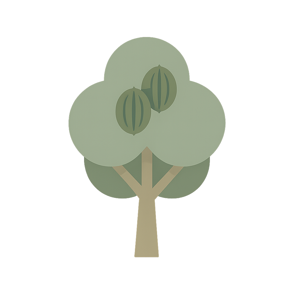 So. california black walnut