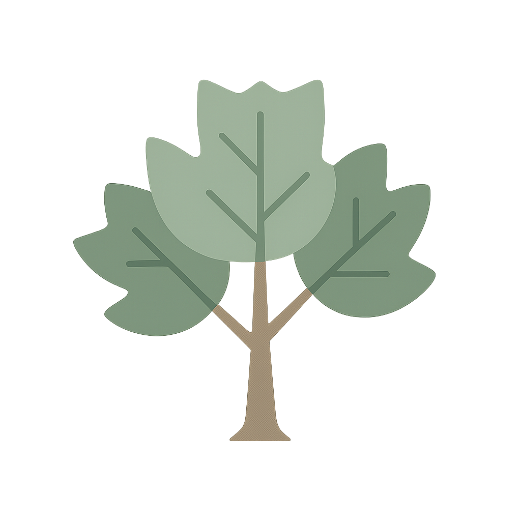 Tulip tree