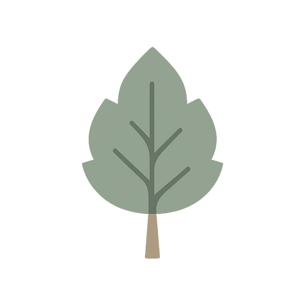 White poplar