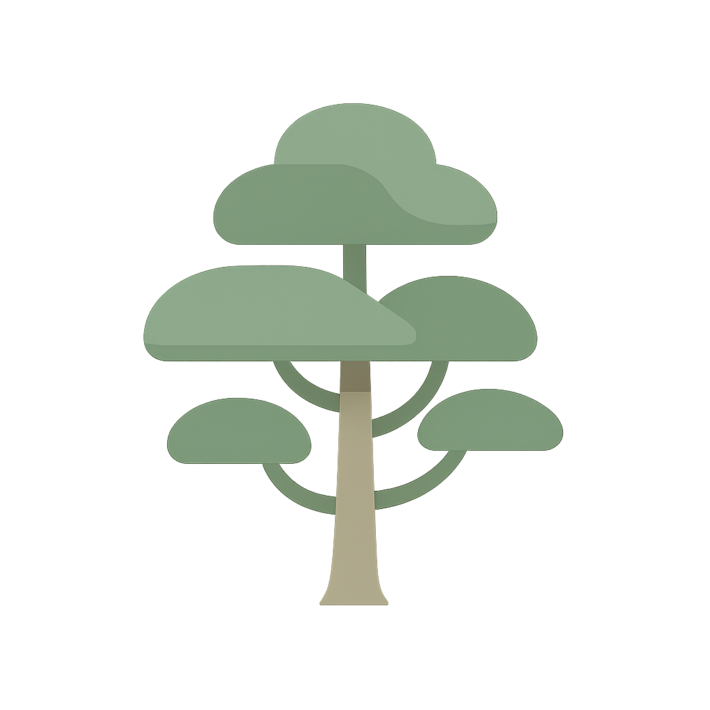 Japanese pagodatree