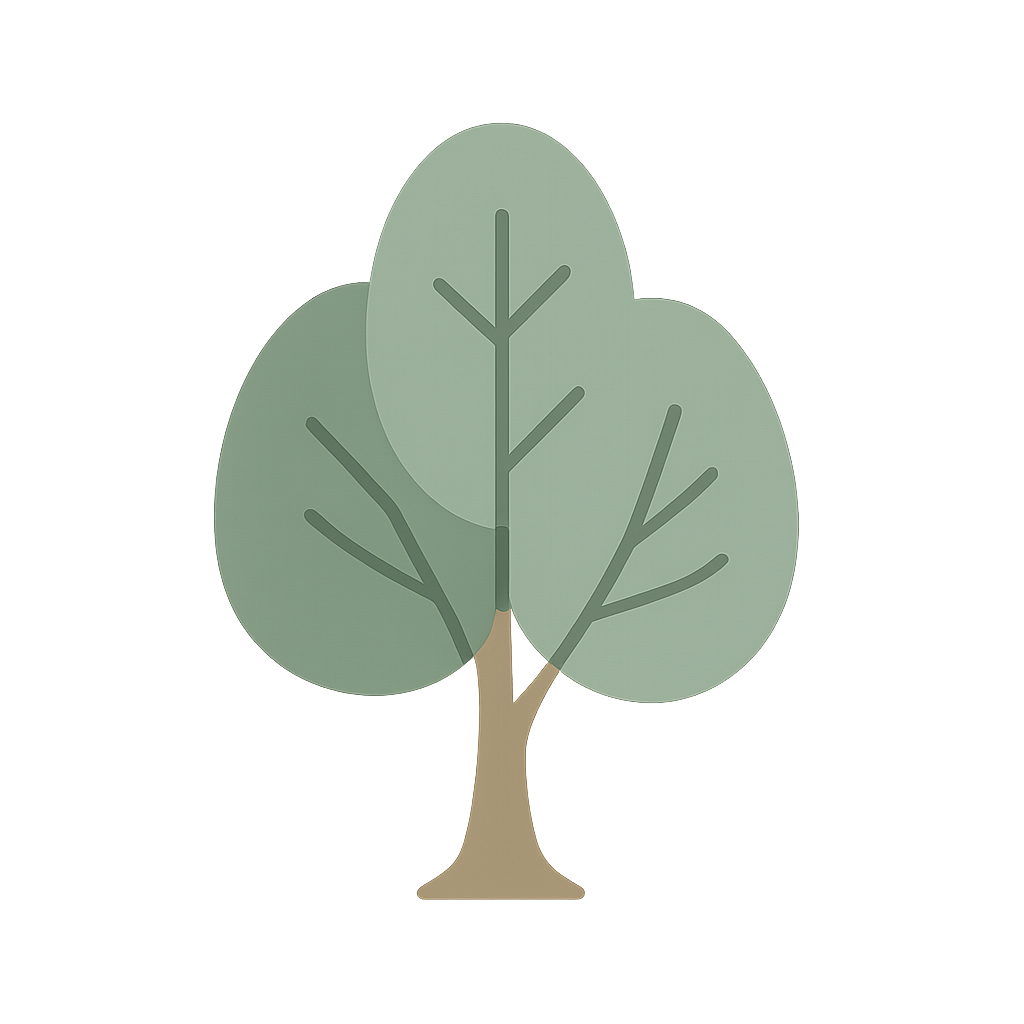 American elm