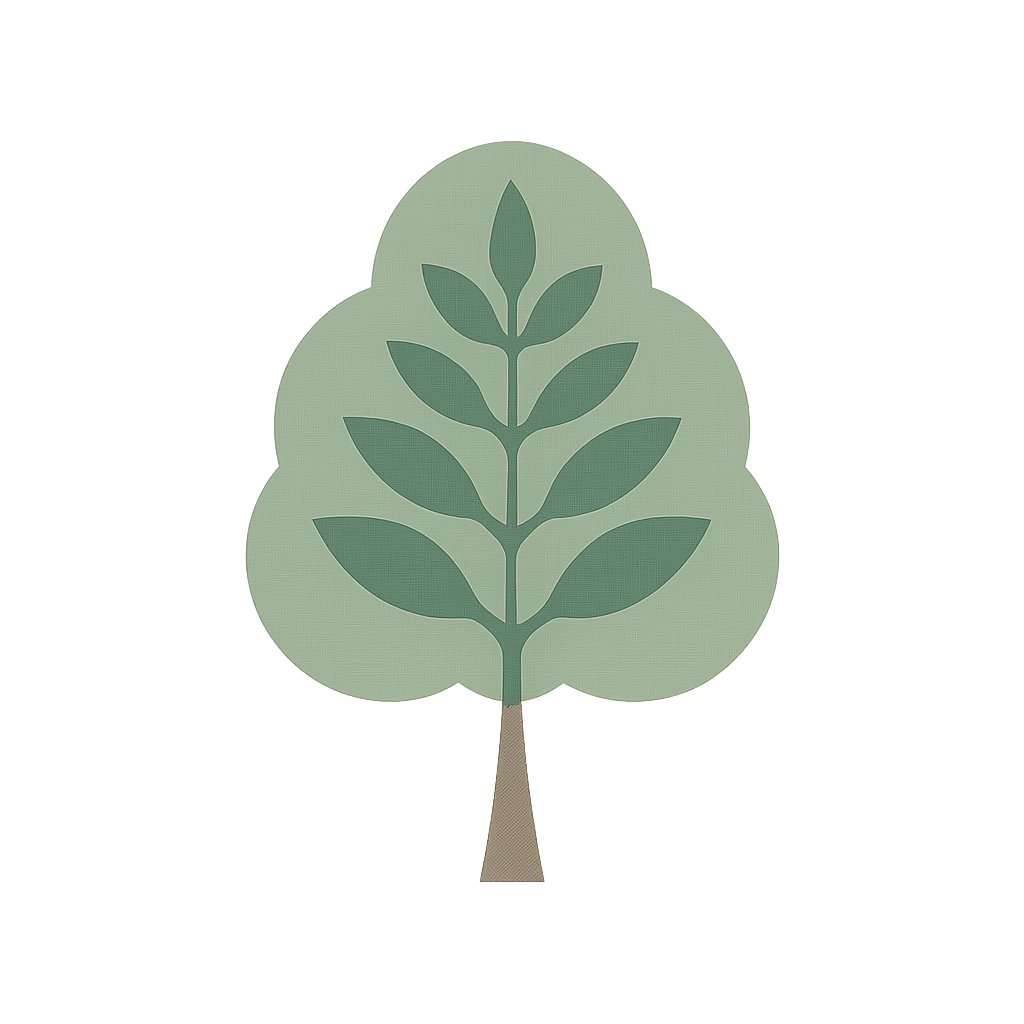 Japanese zelkova